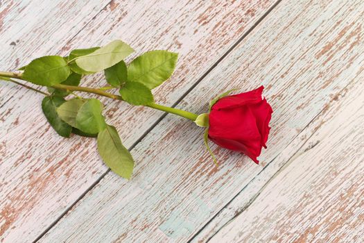 Directly Above Overhead View of a Single Red Rose on a Rustic Wood Table. High quality photo