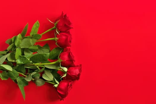 Directly Above Overhead View of Red Rose Bouquet on a Red Studio Background. Copy space on right. High quality studio photo