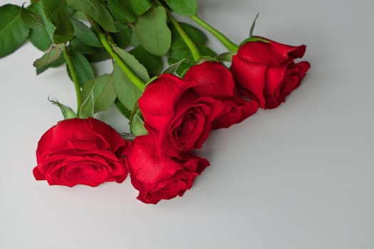 Low Angle View of Red Rose Bouquet on a Gray Studio Background. Copy space right bottom. High quality studio photo