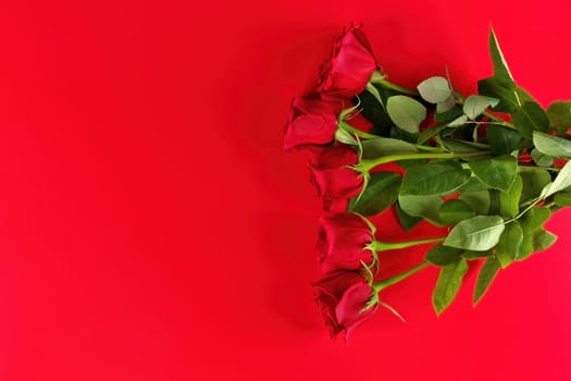 Directly Above Overhead View of Red Roses Bouquet on a Red Studio Background. Copy space left. High quality studio photo