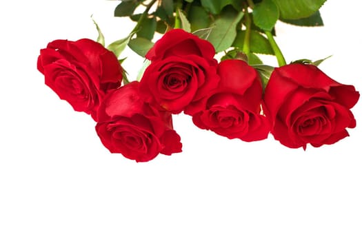 Low Angle View of Red Rose Bouquet Isolated on a White Background. Copy space bottom. High quality studio photo