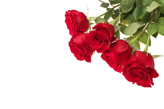 Low Angle View of Red Rose Bouquet Isolated on a White Studio Background. Copy space left. High quality studio photo