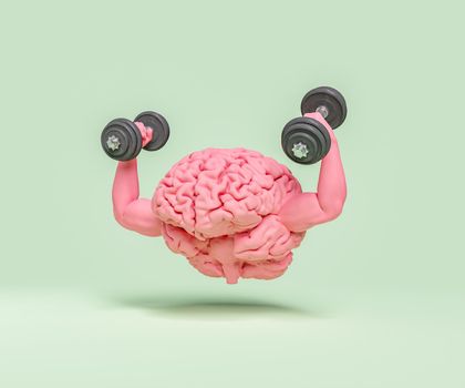 brain with muscular arms and dumbbells in hands. concept of exercise, healthy mind, training, strength and intelligence. 3d rendering
