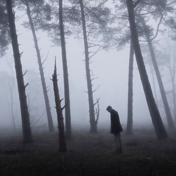 lonesome figure of man with cap between trunks of pine trees in misty forest