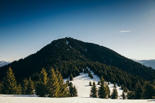 Winter mountains, snow coniferous forest, blue sky, spring. High quality photo