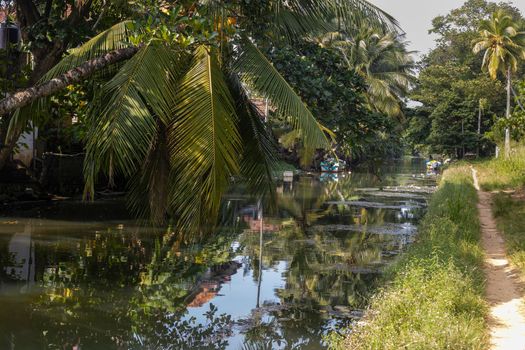 Sri Lanka. Negombo. View of a beautiful river channel with water. Boots are made of the coast. Green trees and beautiful palm trees grow along the shores. High quality photo