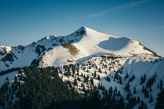 Snow-capped mountains and coniferous forest, winter and spring. High quality photo