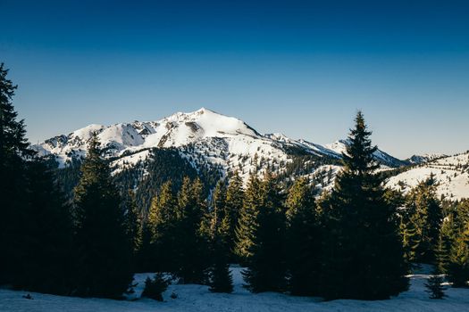Winter mountains in the snow, coniferous forest, spring, snowy meadow. High quality photo