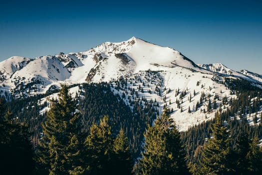 Winter mountains snow, coniferous forest, spring, snow-capped peak. High quality photo
