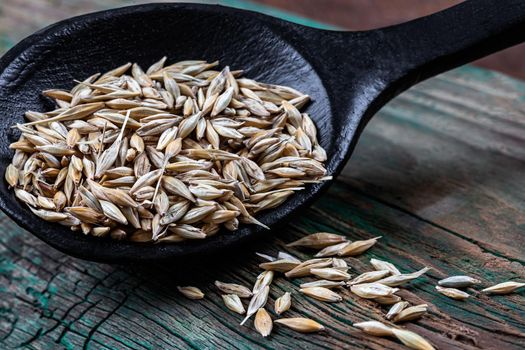 Oat seeds in macro in a wooden spoon