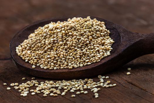 Quinoa grains in macro in a wooden spoon