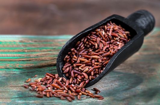 Grains of red rice in a macro shovel spoon on a green background