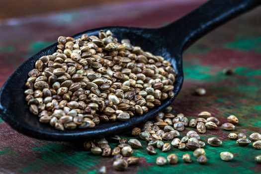 Hemp seeds in a wooden spoon in macro.