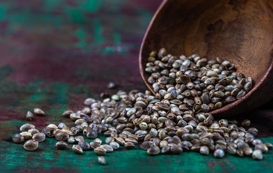 Hemp seeds in a wooden spoon in macro.