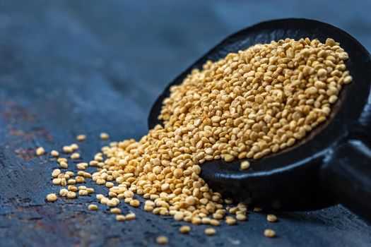 Quinoa grains in macro in a wooden spoon