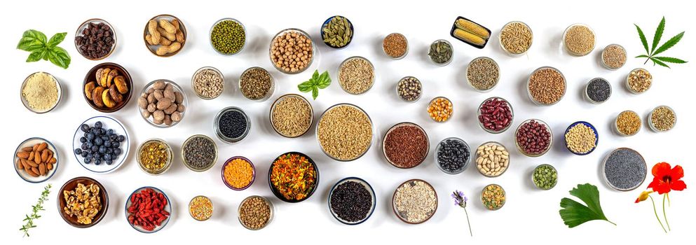 Panoramic of the main seeds and cereals seen from above on a white background