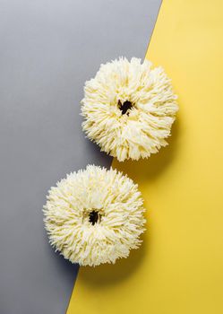 Shag donuts on two color gray and yellow background. Unusual trendy donuts with white vanilla buttercream. Copy space. Top view or flat lay. Vertical