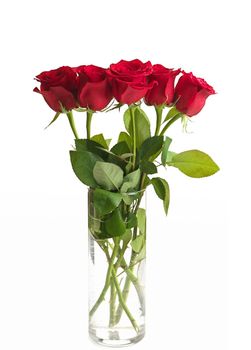 Bouquet of Red Roses in a Clear Glass Vase Isolated on a White Background. High quality studio photo