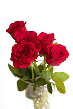 Bouquet of Red Roses in a Vase Isolated on a White Background. High quality studio photo