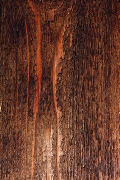 Dark wooden surface. View from above