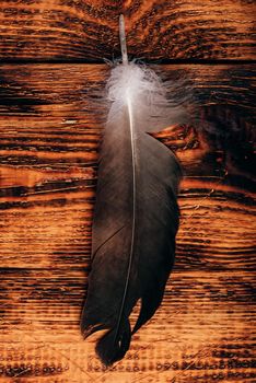 Hawk feather over old wooden table. Overhead