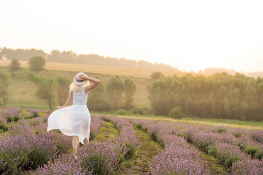 Beautiful young woman wearing a white dress walking in the middle of a lavender field in bloom.