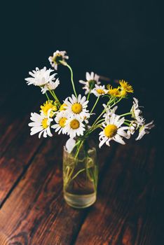 Small bouquet of wild chamomile flowers in glass vase on wooden table