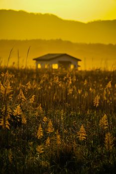 Susukino field and sun and houses. Shooting Location: Miyagi Prefecture Yamamoto-cho