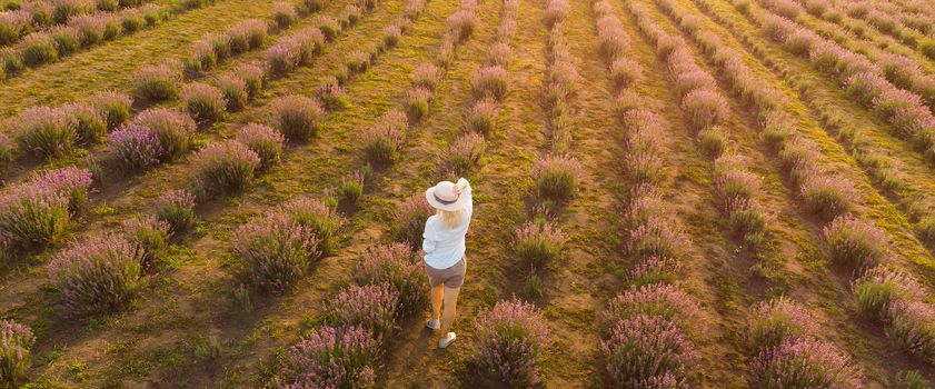 drone video of free and happy young woman run in pink and purple lavender fields at sunset.