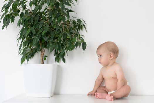 Little toddler boy with plant.