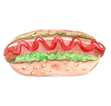 watercolor hand drawn hotdog with red ketchup sausage and sesame isolated on white background