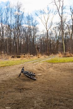 Black bicycle lying on the ground next to big forest and small path