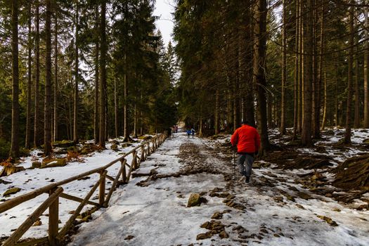 People walking through icy mountain trail next to wooden fence and high trees