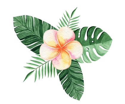 watercolor yellow plumeria flower and green tropical leaves composition isolated on white background