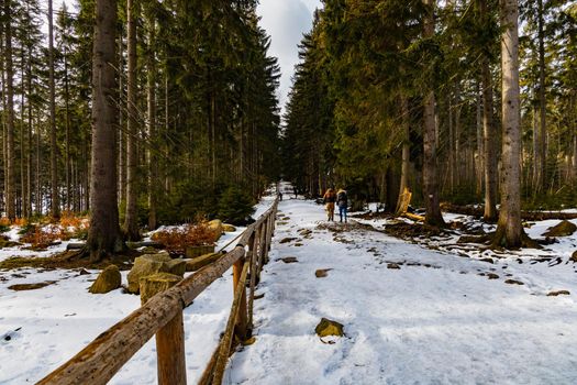 People walking through icy mountain trail next to wooden fence and high trees