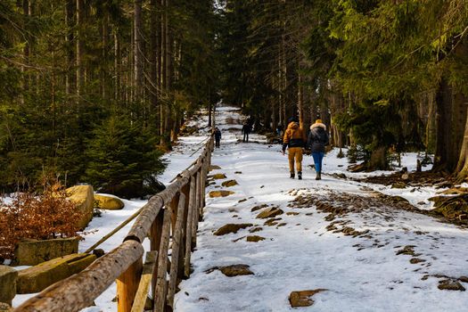 People walking through icy mountain trail next to wooden fence and high trees