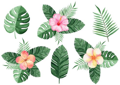 watercolor color tropical flowers and palm leaves compositions set on white background