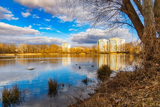 Big lake full of ducks and swans in park next to few high block of flats 