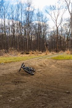 Black bicycle lying on the ground next to big forest and small path