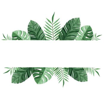 watercolor green tropical border isolated on white background for advertisment or logo design. Palm leaves banner