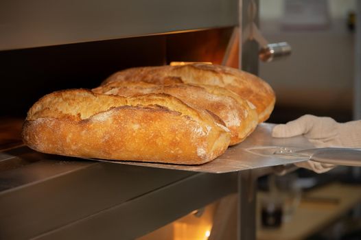 Close-up of a baker's shovel taking freshly baked artisan bread out of the oven. Bread production with copy space.