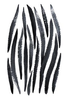 Watercolor Hand drawn zebra black stripes background