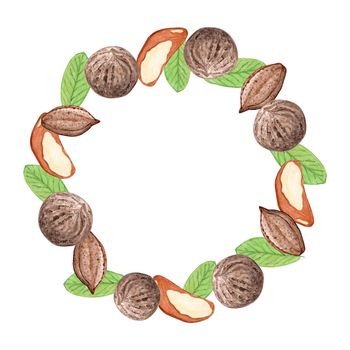 brazil nut wreath isolated on white. watercolor round border with bertholetia illustration