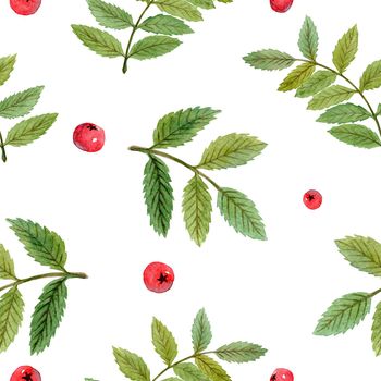 watercolor rowan branches seamless pattern with red berries and green leaves on white background for fabric, textile, scrapbooking, wrapping paper, invitations