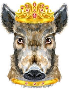 Cute piggy with golden crown. Wild boar for T-shirt graphics. Watercolor brown boar illustration