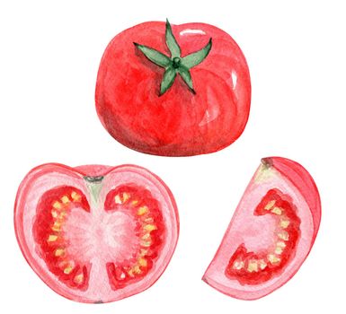 Watercolor red tomato illustrations set isolated on white background. Hand drawn vegetables for menu designs, branding, recipes