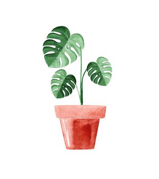 watercolor monstera house plant in brown pot isolated on white background