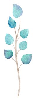 watercolor tree branch with turquoise leaves isolated on white background