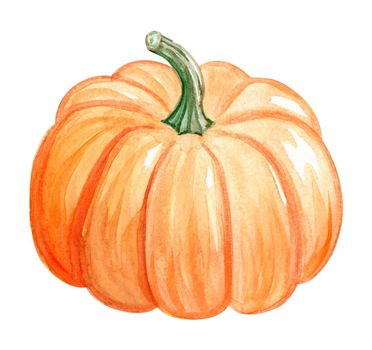 watercolor orange pumpkin isolated on white background. Hand drawn halloween vegetable illustration