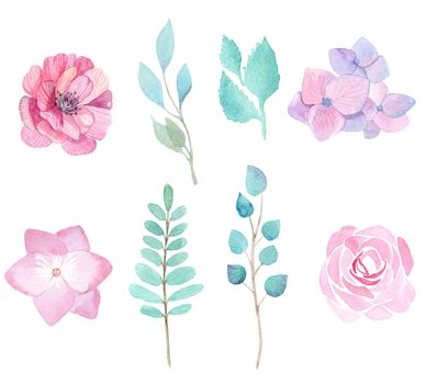 watercolor pink flowers and green leaves set isolated on white background